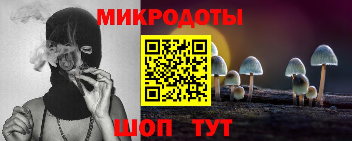 Южноуральск  Псилоцибиновые грибы мухоморы  где найти   Псилоцибиновые грибы мухоморы  Вход с VPN 